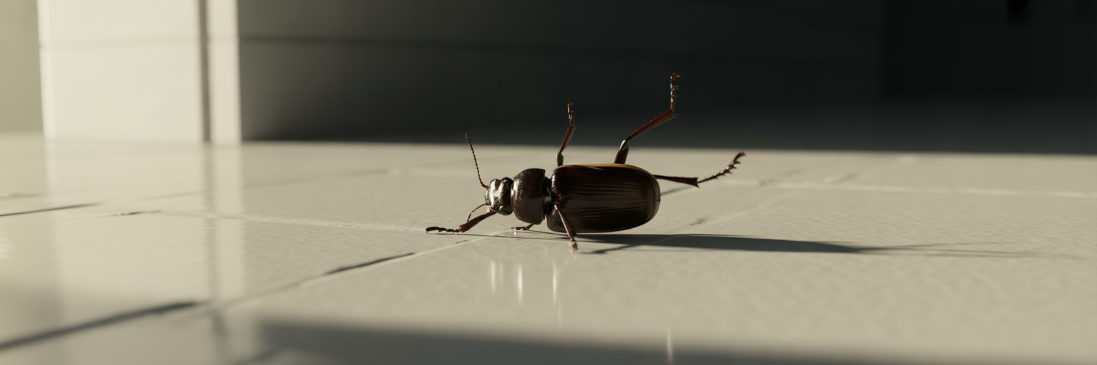 Why Do Bugs Flip Over When They Die?