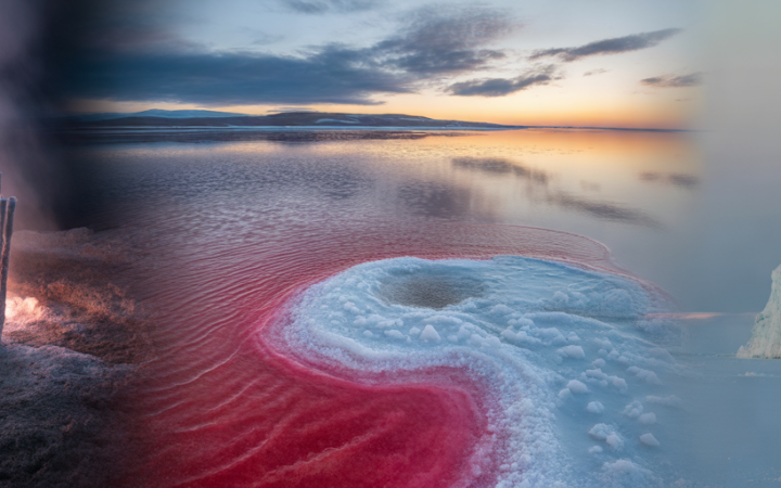 Extremophile Organisms Beyond Normal Limits