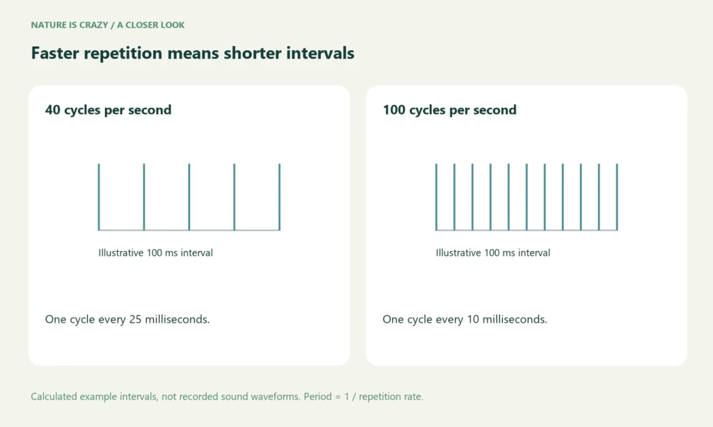 Faster repetition means shorter intervals. 40 cycles per second: One cycle every 25 milliseconds. 100 cycles per second: One cycle every 10 milliseconds.